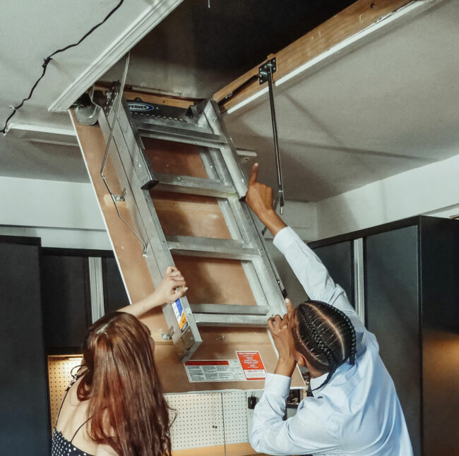 pexels-kindel-media-7579009 Pest removal attic