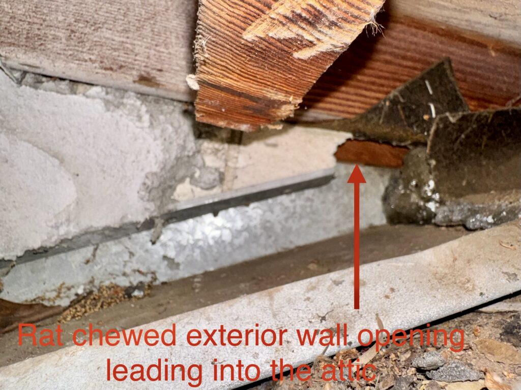 Rodent Control in Rocklin: Why Roofline Entry Points Keep Causing Repeat Problems